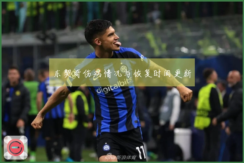 东契奇伤病情况与恢复时间更新